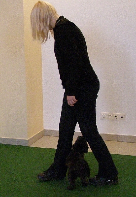 hu028.jpg