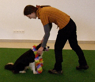 hu029.jpg
