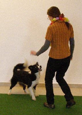hu030.jpg