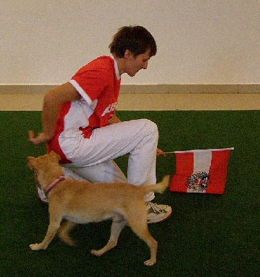 hu033.jpg