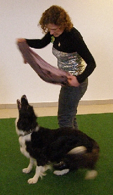 hu041.jpg
