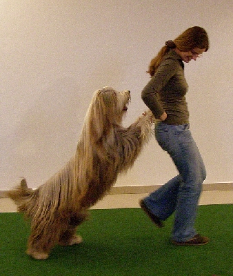 hu043.jpg