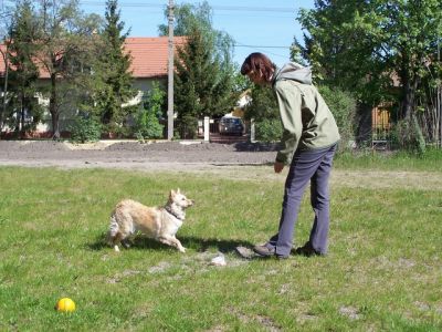 100_4384.JPG