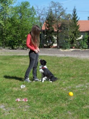100_4388.JPG