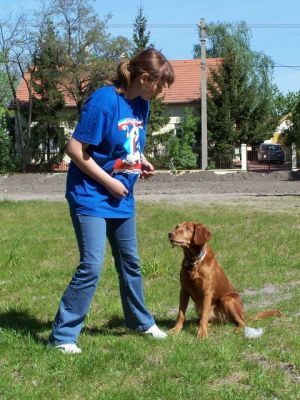 100_4395.JPG