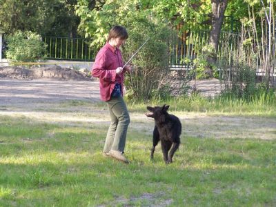 100_4413.JPG
