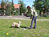 100_4384.JPG