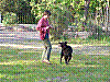 100_4413.JPG