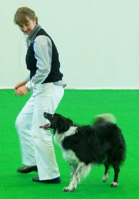 03.jpg