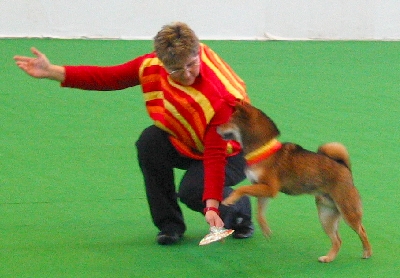 04-2.jpg