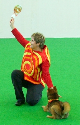 04.jpg