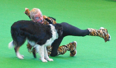 05-1.jpg