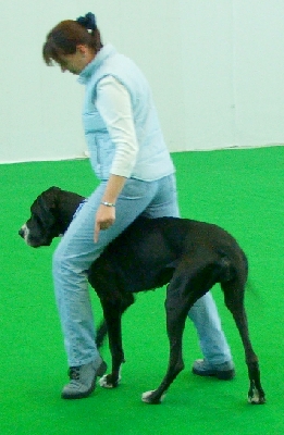 06.jpg