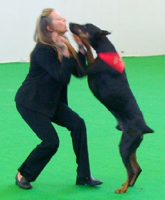 08.jpg