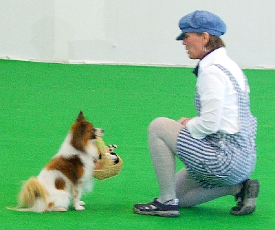 09-1.jpg