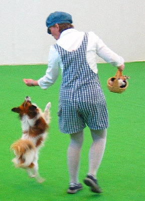09-2.jpg