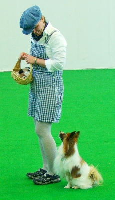 09.jpg