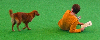 16-1.jpg
