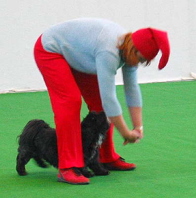 19-1.jpg