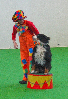 34.jpg