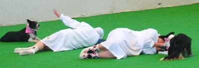 csapat2-0schlafm.jpg