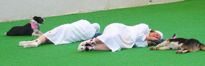 csapat2-1schlafm.jpg