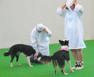 csapat2-2schlafm.jpg
