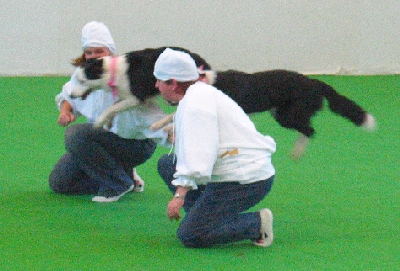 csapat2-3schlafm.jpg