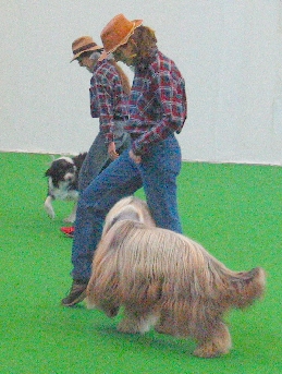 csapat3-3hb.jpg