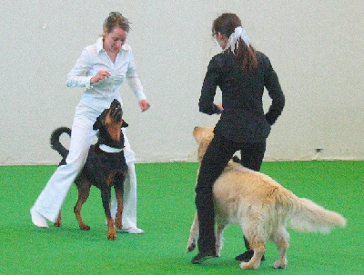 csapat5-1.jpg