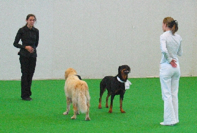 csapat5.jpg