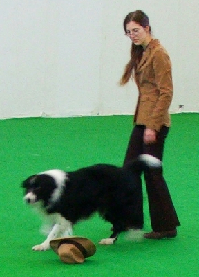 kata1.jpg