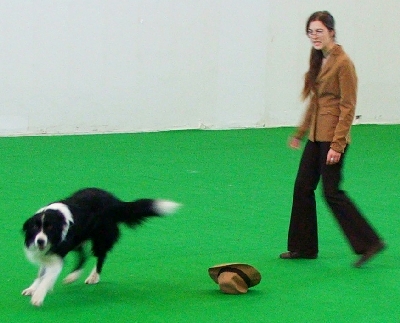 kata2.jpg