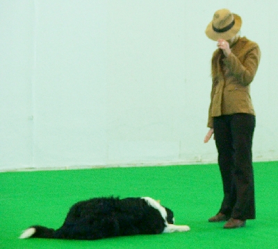 kata3.jpg