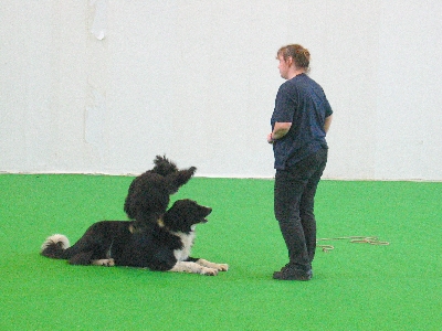 tandem1-1.jpg