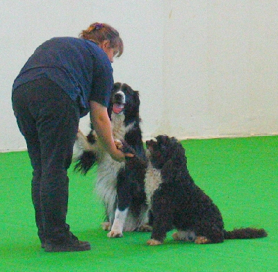 tandem1.jpg