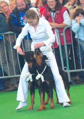 tandem2-1.jpg