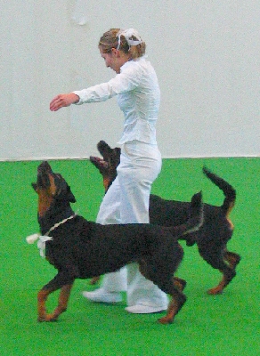 tandem2-2.jpg