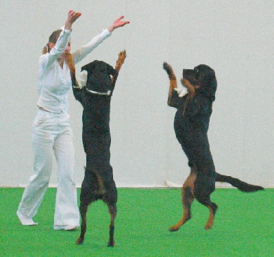 tandem2-3.jpg