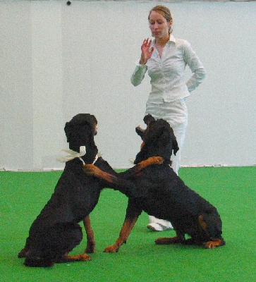 tandem2-4.jpg