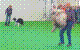 csapat3-6hb.jpg