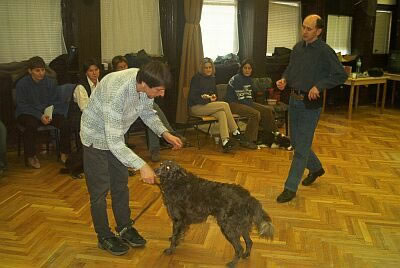 ws03_jpg.jpg