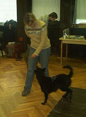 ws05_jpg.jpg