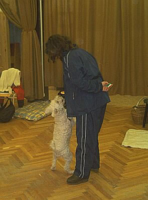 ws06_jpg.jpg