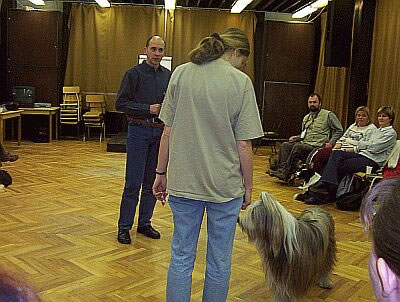 ws07p_jpg.jpg