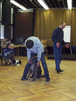 ws08p_jpg.jpg