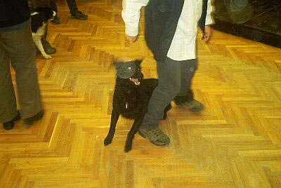 ws09_jpg.jpg