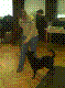 ws05_jpg.jpg