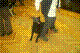 ws09_jpg.jpg