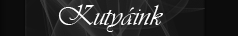 Kutyink